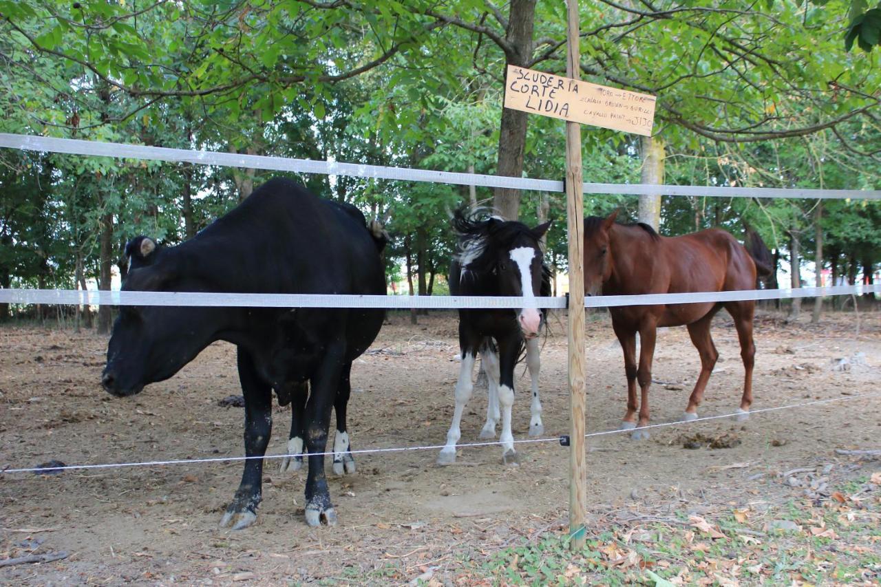 Agriturismo Corte Lidia Bellaguarda Dış mekan fotoğraf
